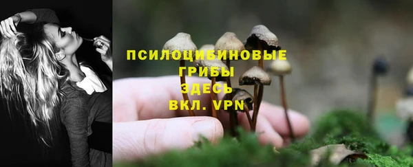 a pvp Верея