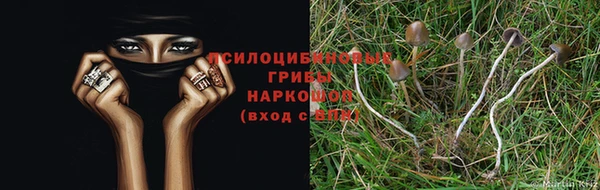 a pvp Верея