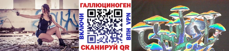 Псилоцибиновые грибы Cubensis  Шагонар 